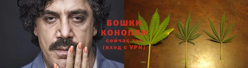 купить наркотик  Черкесск  Канабис OG Kush 